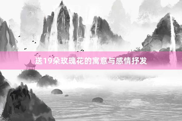 送19朵玫瑰花的寓意与感情抒发