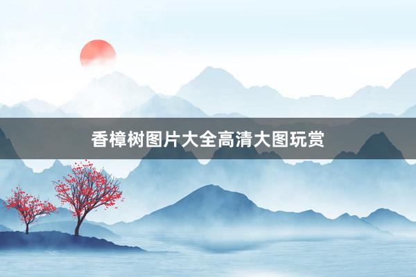 香樟树图片大全高清大图玩赏