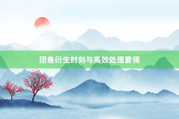 团鱼衍生时刻与高效处理要领