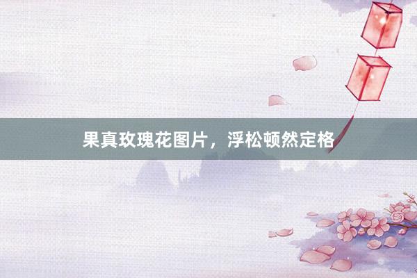 果真玫瑰花图片，浮松顿然定格