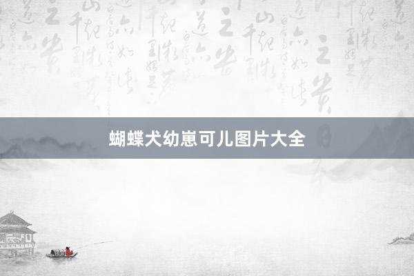 蝴蝶犬幼崽可儿图片大全