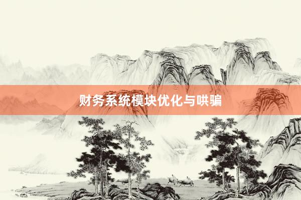 财务系统模块优化与哄骗